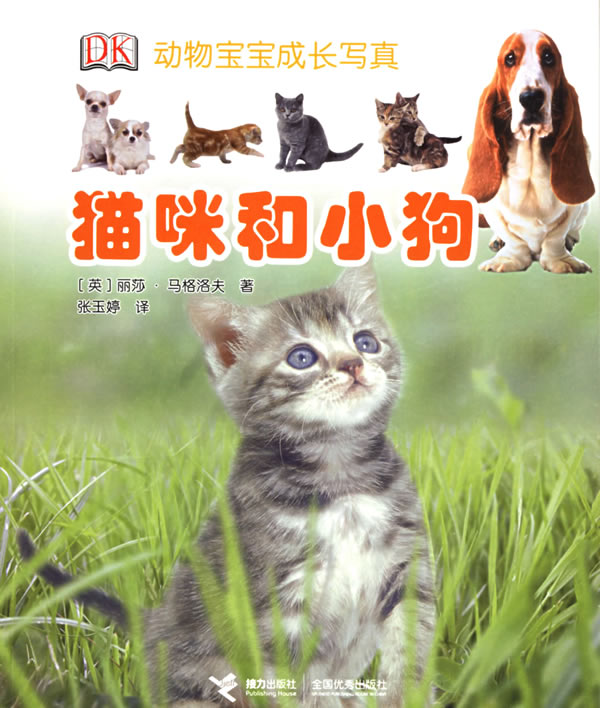 猫咪和小狗