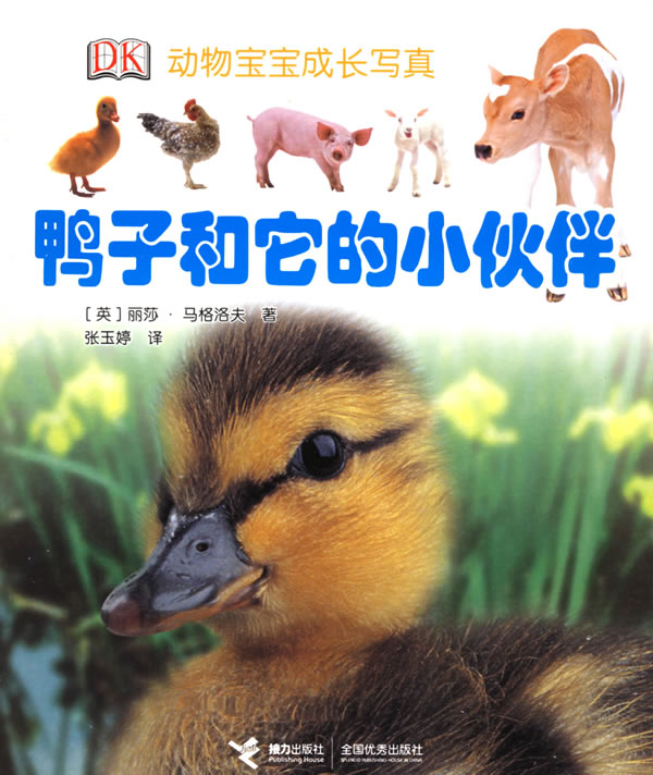 鸭子和它的小伙伴