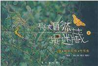 飞蛾·蛾类毛虫·竹节虫/与大自然捉迷藏