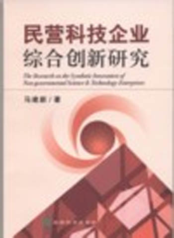 民营科技企业综合创新研究
