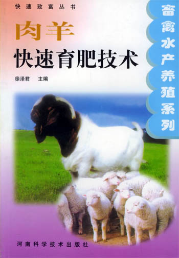 肉羊快速育肥技术