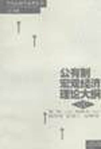 公有制宏观经济理论大纲