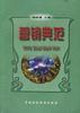 营销典范