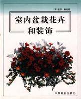 室内盆栽花卉和装饰