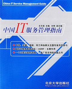 中国IT服务管理指南