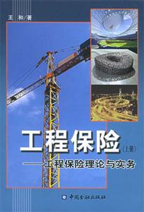 工程保险（上册）—工程保险理论与实务