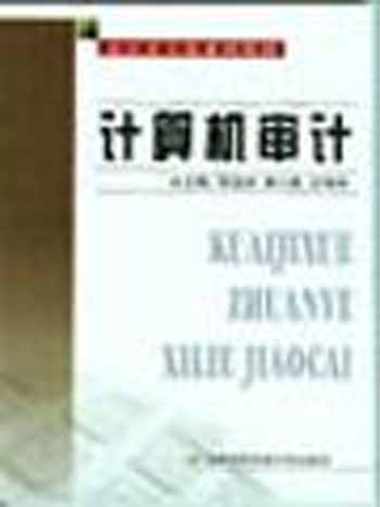计算机审计(会计学专业系列教材 )
