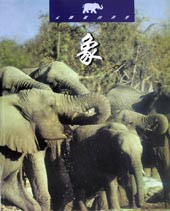 象