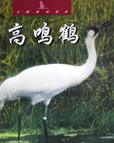 高鸣鹤