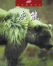 灰熊