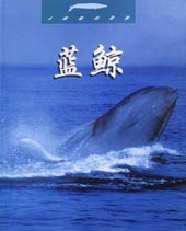 蓝鲸