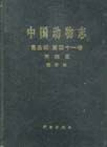 中国动物志 昆虫纲 第四十一卷 同翅目 斑蚜科