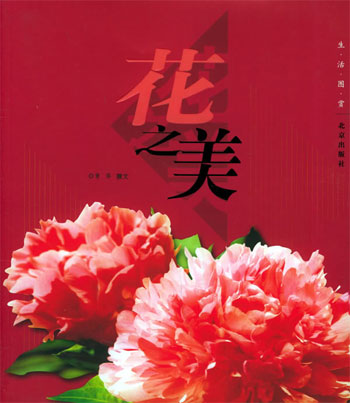 生活图赏--花之美