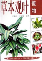 草本观叶植物