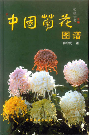 中国菊花图谱