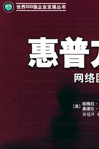 惠普方略:网络团队的力量