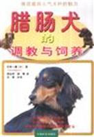 腊肠犬的调教与饲养