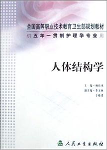 人体结构学