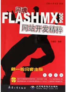 FLASHMX2004վ