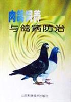 肉鸽饲养与鸽病防治