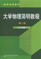 大学物理简明教程 (第二版)