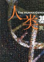 人类基因组我们的DNA