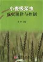 小麦吸浆虫成灾规律与控制