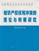 知识产权权利冲突的理论与判解研究