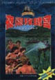 夜闯玫瑰宫