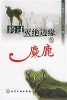 跨过灭绝边缘的麋鹿