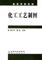 化工工艺制图