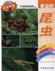 身边的昆虫
