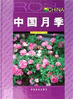 中国月季