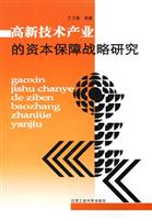 高新技术产业的资本保障战略研究