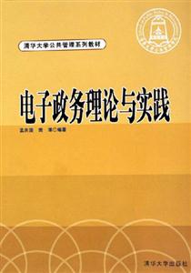 电子政务理论与实践