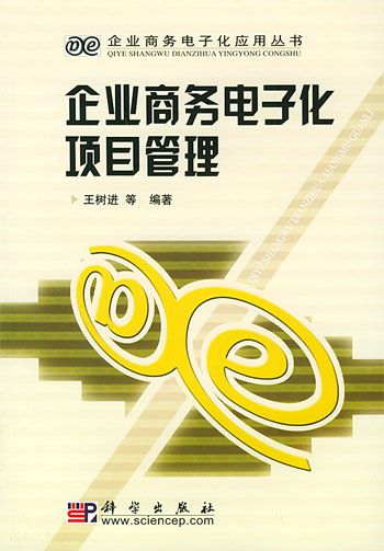企业商务电子化项目管理