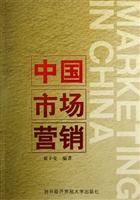 中国市场营销