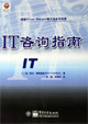 IT咨询指南