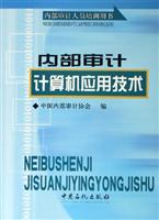 内部审计计算机应用技术