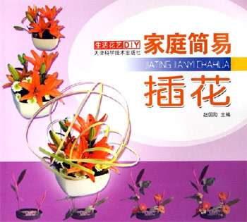 家庭简易插花-生活花艺DIY
