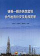 银根—额济纳旗盆地油气地质特征及勘探前景