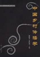 中国乡村传播学