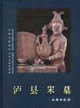 泸县宋墓