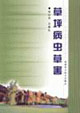 草坪病虫草害