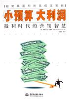小预算 大利润-微利时代的营销智慧\/福赛斯 著