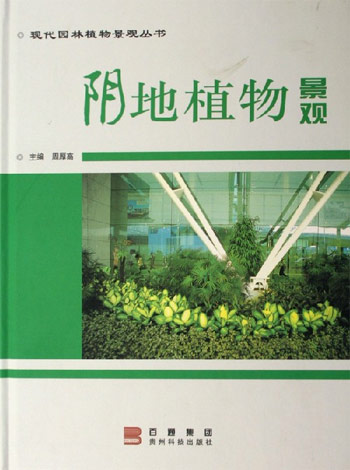 阴地植物景观