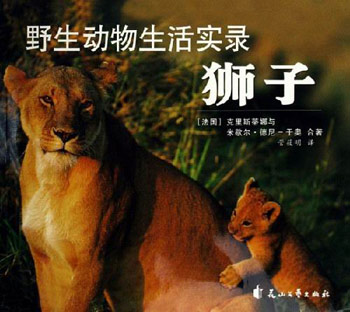 狮子-野生动物生活实录