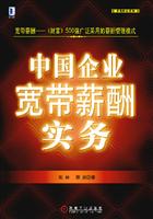 中国企业宽带薪酬实务