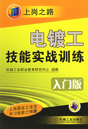 电镀工技能实战训练 (入门版)