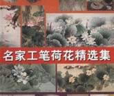 名家工笔荷花精选集